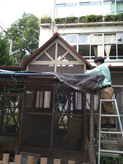 20210712t゙N゙A.jpg
