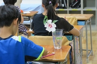 2023-0713G莆3N3.jpg