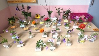 2023-0714G莆4N5.jpg