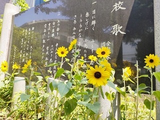 2023-0719ԃ{1.jpg