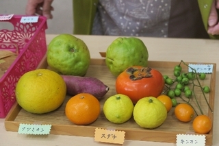 2023-1129-G莆1N5.jpg