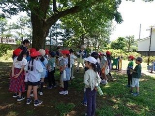 2024-0510n߂3N4.jpg