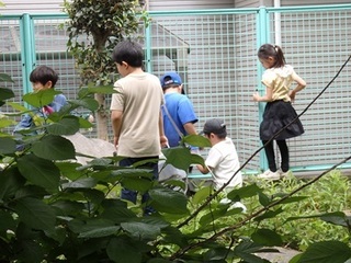 2024-06272N1329.JPG