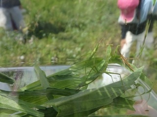 2024-06272NO.JPG
