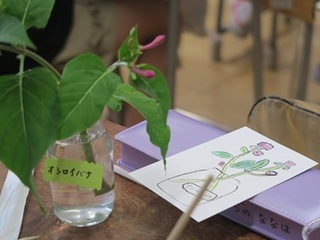 2024-0705G莆2.jpg