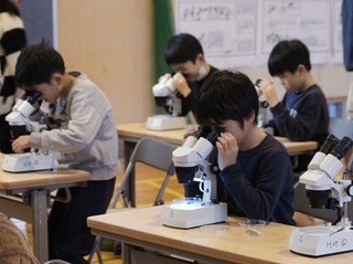 2025-0208科学02.jpg