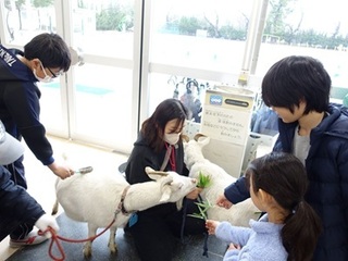 2025-0303MR.JPG