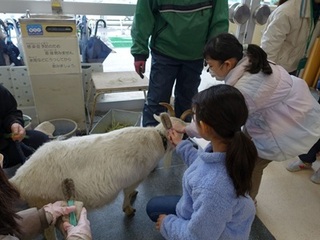 2025-0303MS.JPG