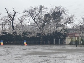 2025-0404訪問1.jpg