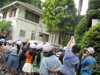 2025-0514n揄3N1.JPG