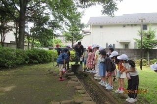 2025-0514n揄3N3.JPG