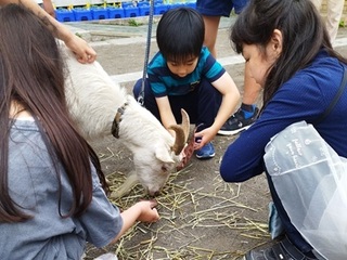 2025-0521いきもの3.jpg