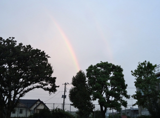 DSC03135.jpg