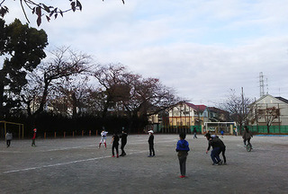 DSC_1442.jpg