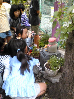 Image562.jpg