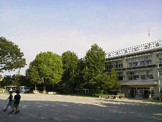 P1000898.jpg
