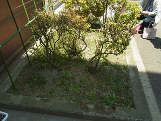 RIMG0659.jpg