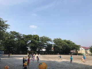 image1.jpeg