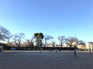 image1.jpg
